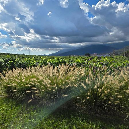 Casa Valdo Country House ヴァルドッビアーデネ エクステリア 写真