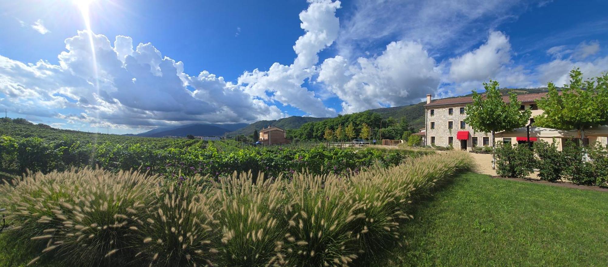 Casa Valdo Country House ヴァルドッビアーデネ エクステリア 写真