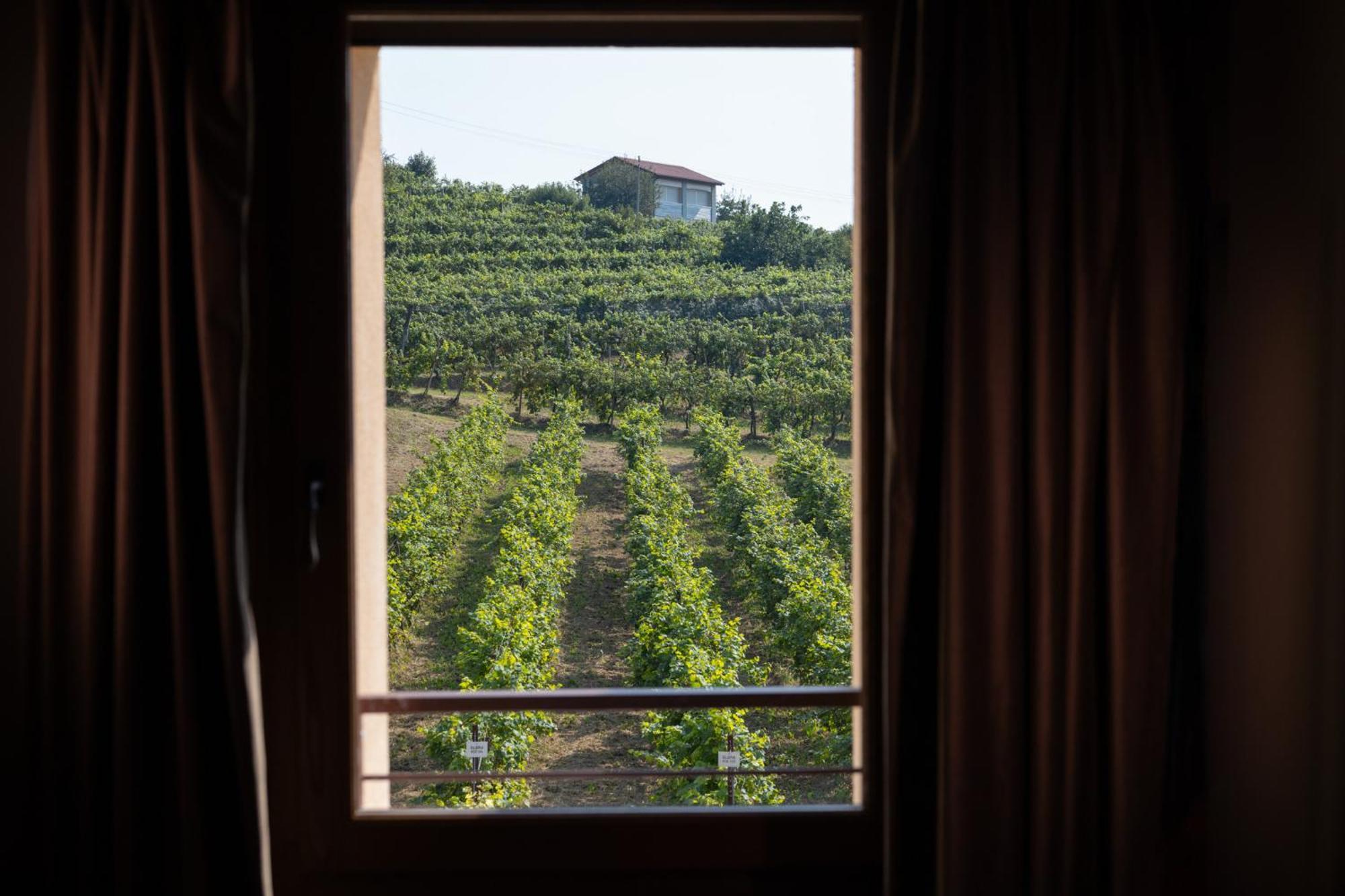 Casa Valdo Country House ヴァルドッビアーデネ エクステリア 写真