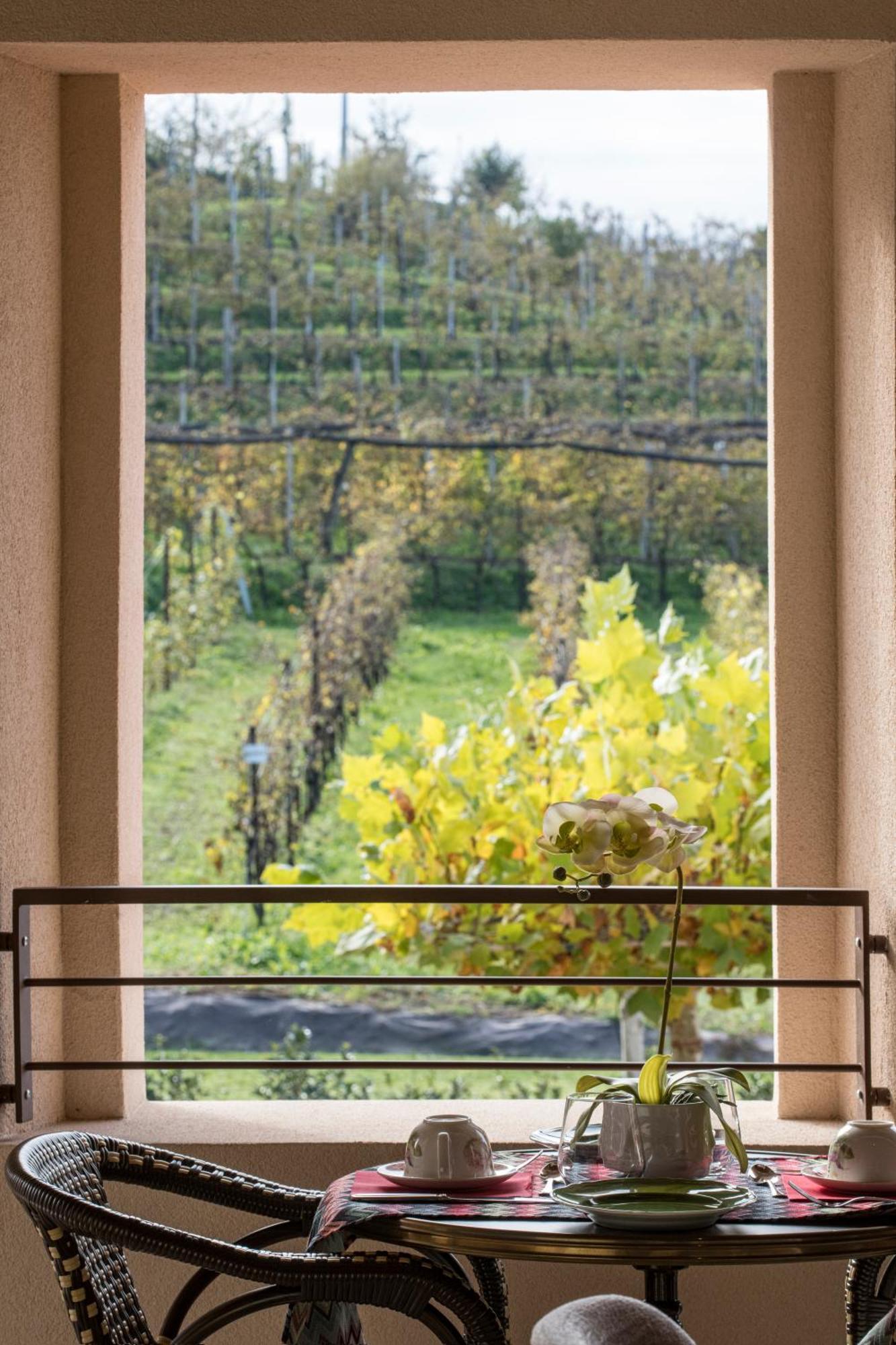 Casa Valdo Country House ヴァルドッビアーデネ エクステリア 写真